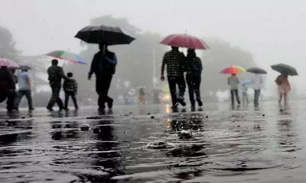 मुरादाबाद में सुबह से हो रही झमाझम बारिश, लोगों को गर्मी से मिली राहत (फोटो: Dainik Diary)