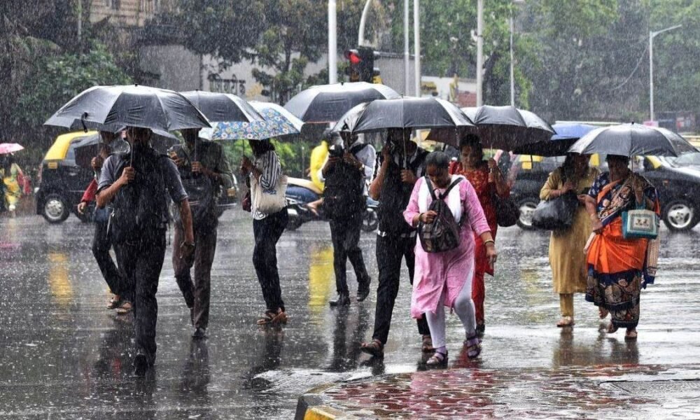 बिजनौर में सुबह से छाए बादल, दोपहर बाद बारिश की संभावना (फोटो: Dainik Diary)