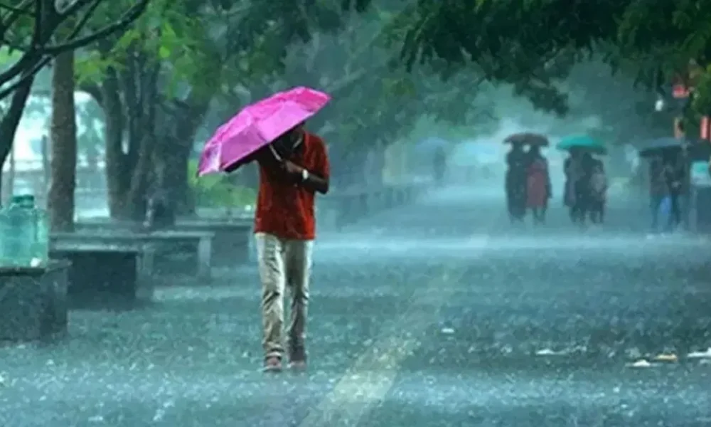 Delhi Monsoon 2025: IMD Issues Yellow Alert, Rain to Bring Pollution Relief | Dainik Diary