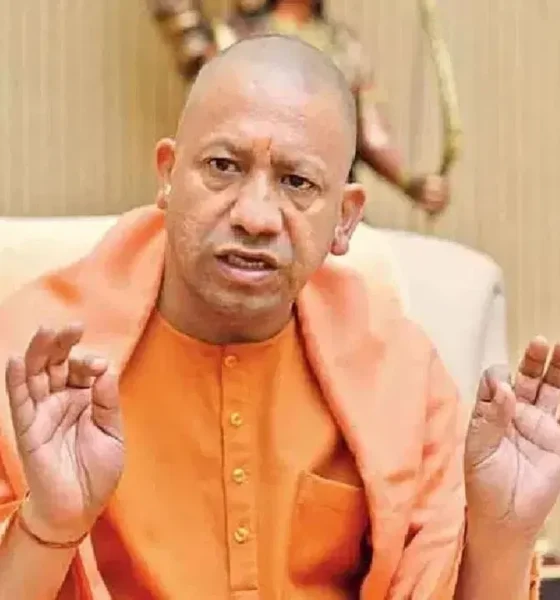 cm yogi 2 1