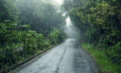 Chaudharpur Weather Forecast: Heavy Rain & Thunderstorms Ahead | July 16–18 Alert