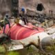 Air India Crash Report Reveals Fuel Cutoff Error; PM Modi to Distribute 51K Job Letters | Dainik Diary
