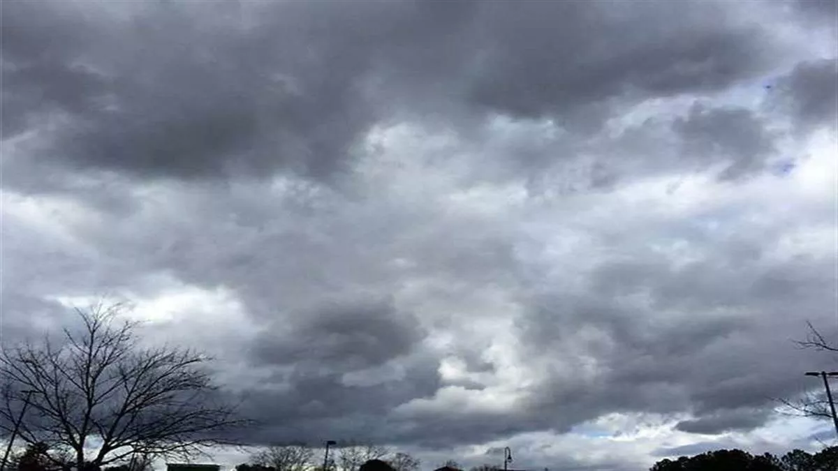 Punjab Weather Alert: Heavy Rainfall in Amritsar, Flood Risk from Markanda & Yamuna Rivers