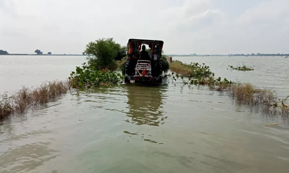 Ghazipur Flood Update: Ganga Water Level Slows, Rail Bridge Gets Sensor Alert System