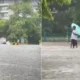 Heavy Rain Paralyzes Delhi-NCR | Waterlogging, 24 KM Jam & Sinking Roads