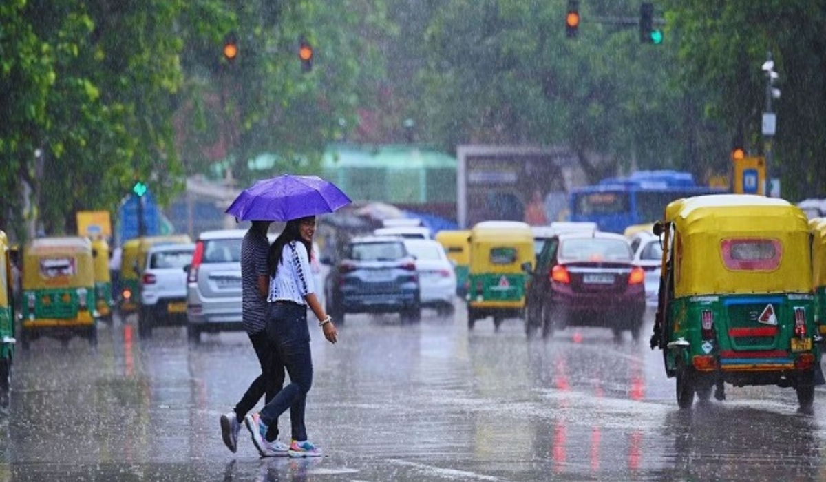 चंडीगढ़ की सड़कें गड्ढों में तब्दील, तीन दिन की बारिश में 800 से ज़्यादा गड्ढे मिले