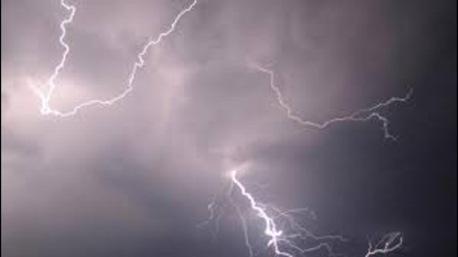 Tajpur Weather Forecast: Rain, Thunderstorm Likely | July 14–16 Update