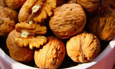 Walnut Health Benefits: दिल और दिमाग के लिए सबसे फायदेमंद है अखरोट, जानें खाने का सही तरीका | Dainik Diary