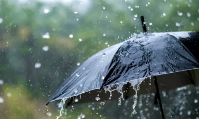 राजस्थान मौसम पूर्वानुमान: 16 से 18 जुलाई तक बारिश के आसार, कई जिलों में IMD का येलो अलर्ट