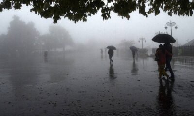 Sultanpur Weather Forecast: सुलतानपुर में अगले 3 दिन गरज-चमक और तेज़ बारिश का अलर्ट