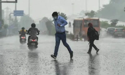 Rampur Weather Forecast: रामपुर में अगले 3 दिन गरज, बारिश और उमस का ट्रिपल इफेक्ट
