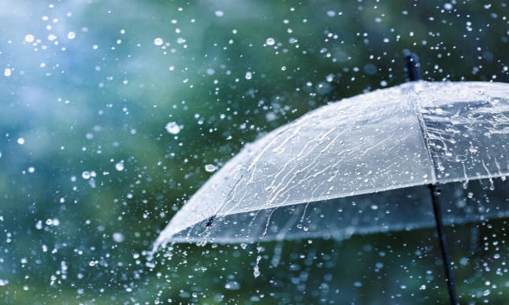 Peetalnagri Weather Forecast: Rain and Thunderstorms Likely | July 12–14 Update
