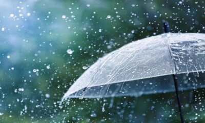 Peetalnagri Weather Forecast: Rain and Thunderstorms Likely | July 12–14 Update
