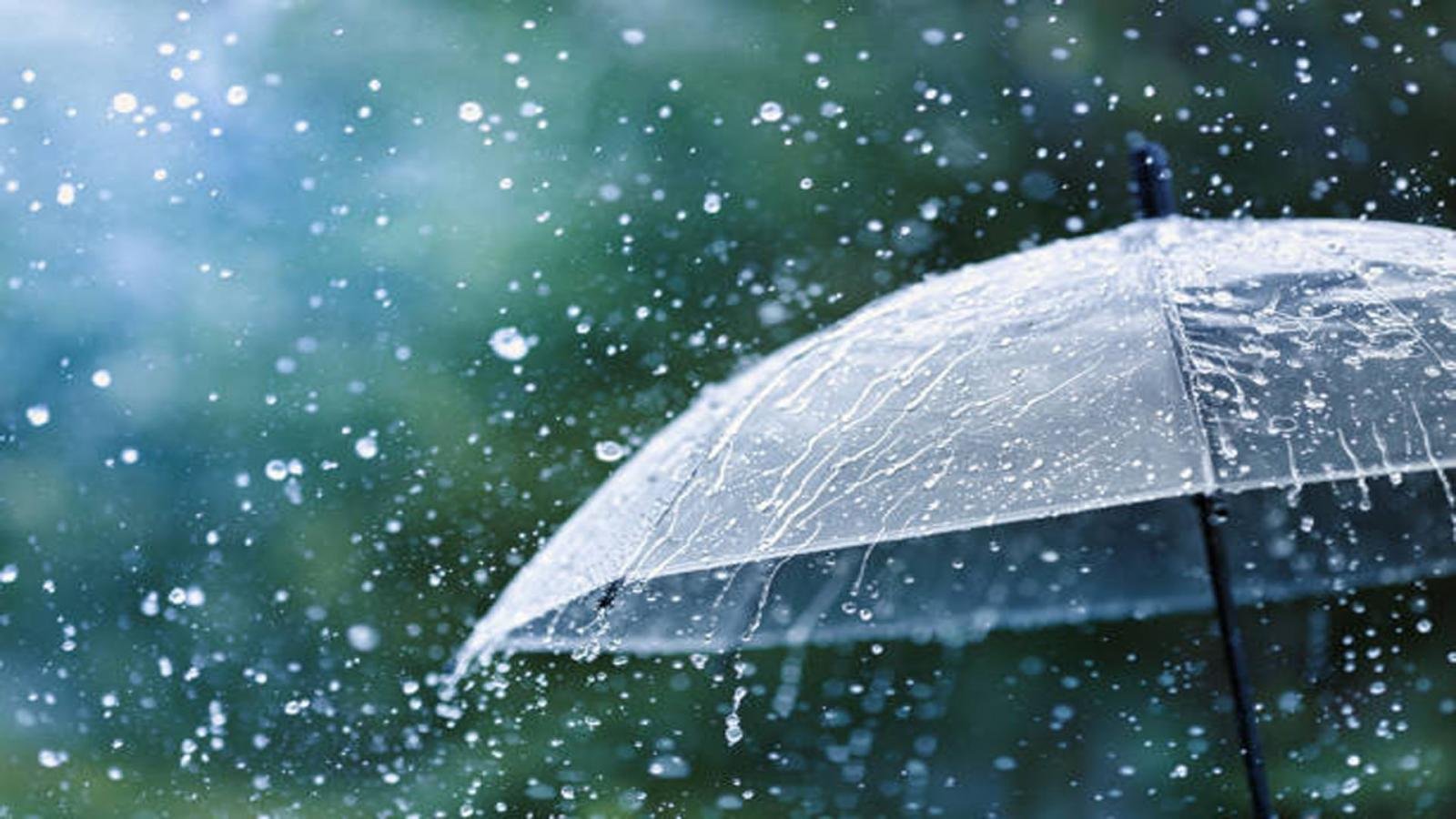 Peetalnagri Weather Forecast: Rain and Thunderstorms Likely | July 12–14 Update