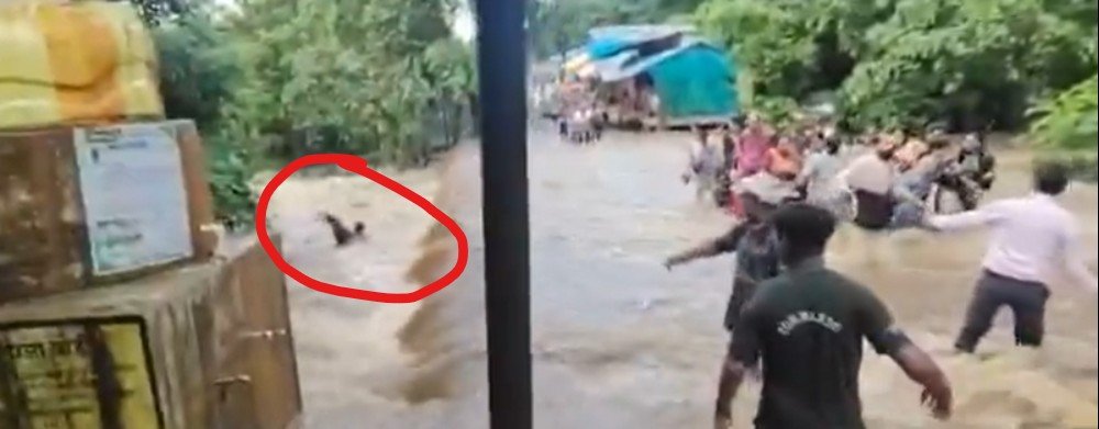Balod Siyadevi Temple: तेज बहाव में बहे दो युवक, ग्रामीणों ने बचाई जान
