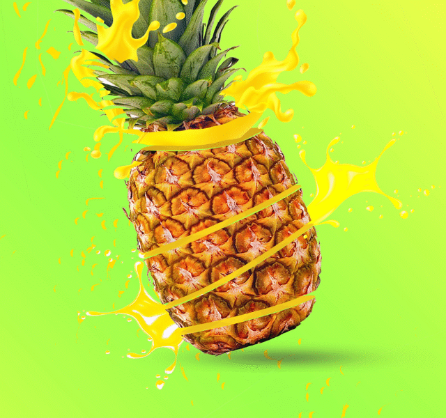 DD Web Stories