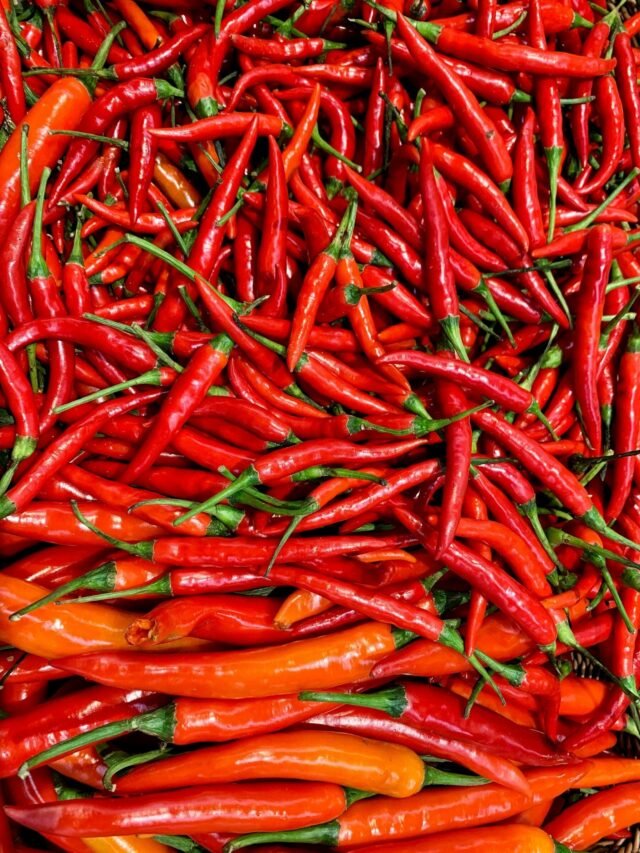 लाल मिर्च खाने के चौंकाने वाले फायदे और नुकसान जरूर जानें