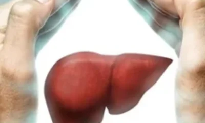 Liver
