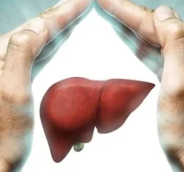 Liver
