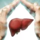 Liver