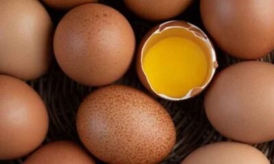 benefits-of-raw-eggs-1685682854