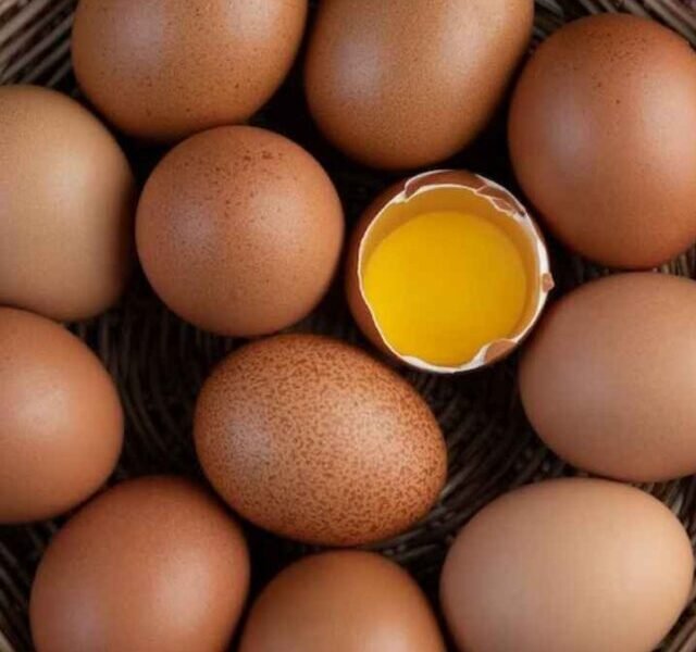 benefits-of-raw-eggs-1685682854