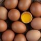 benefits-of-raw-eggs-1685682854