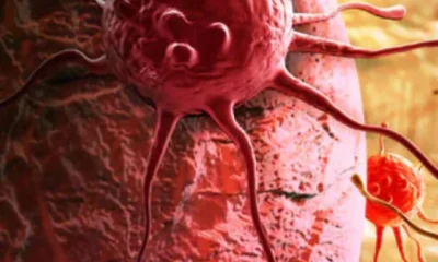 cancer_650x400_41517729117
