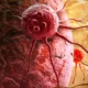 cancer_650x400_41517729117