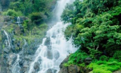 dudhsagar-waterfall-goa-tourism-entry-ticket-price