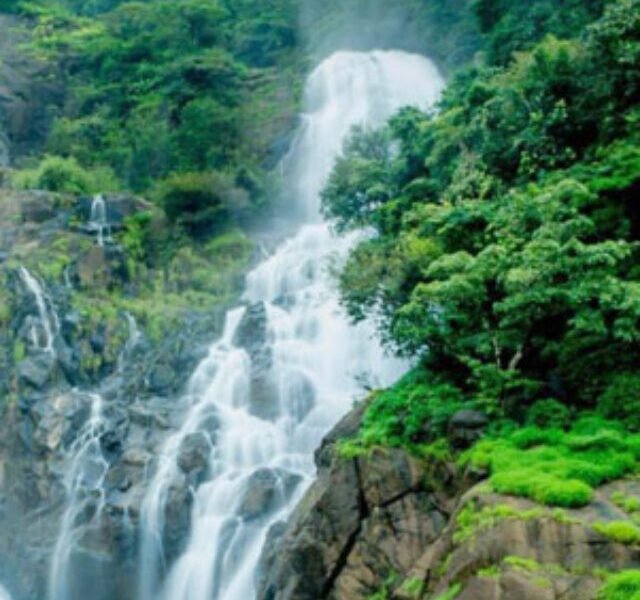 dudhsagar-waterfall-goa-tourism-entry-ticket-price