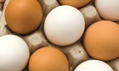 eggs1