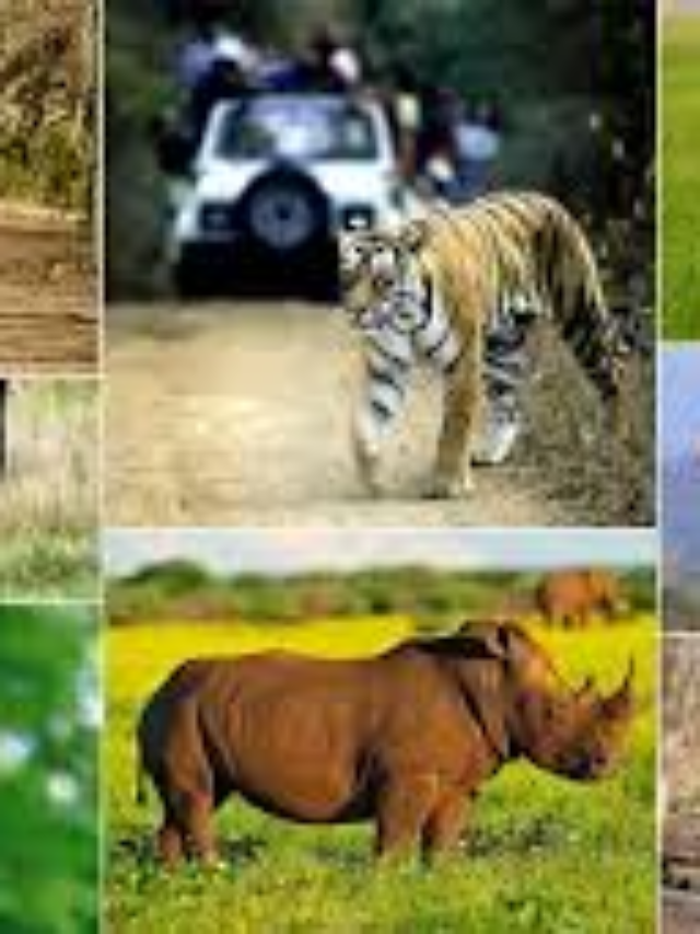 भारत के 5 वन्यजीव अभयारण्य जहाँ ज़रूर जाएँ