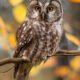 istockphoto-481526876-612x612-1