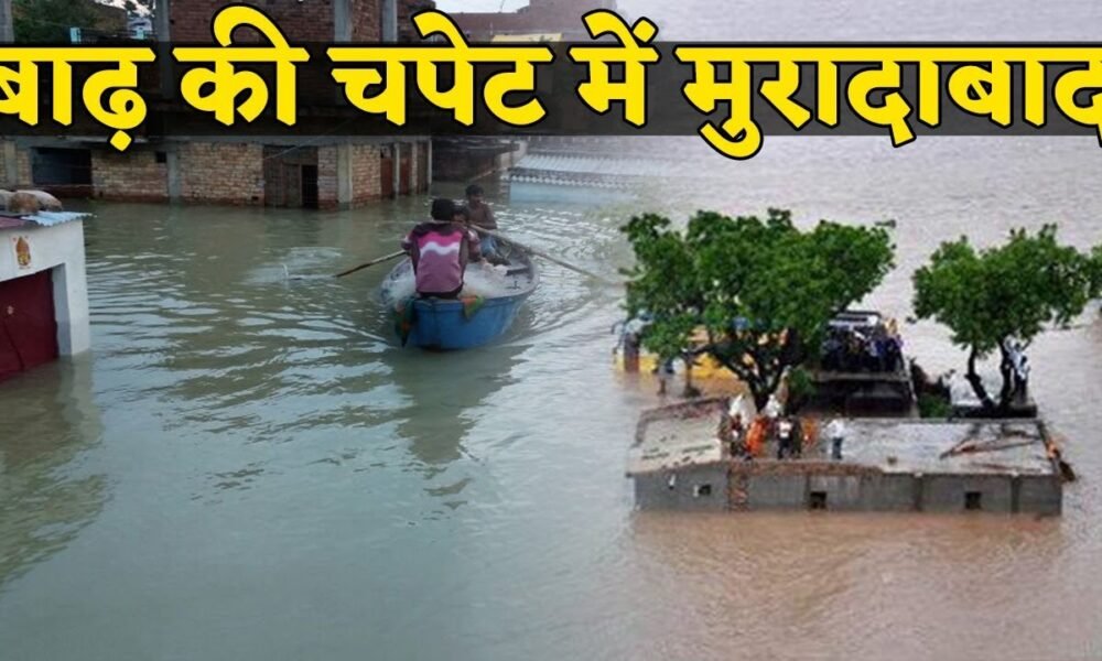 रामगंगा बाढ़ से टूटा मुरादाबाद का पुल, महिला की मौत, कई गांवों का संपर्क कटा