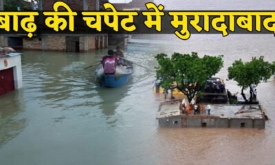 रामगंगा बाढ़ से टूटा मुरादाबाद का पुल, महिला की मौत, कई गांवों का संपर्क कटा