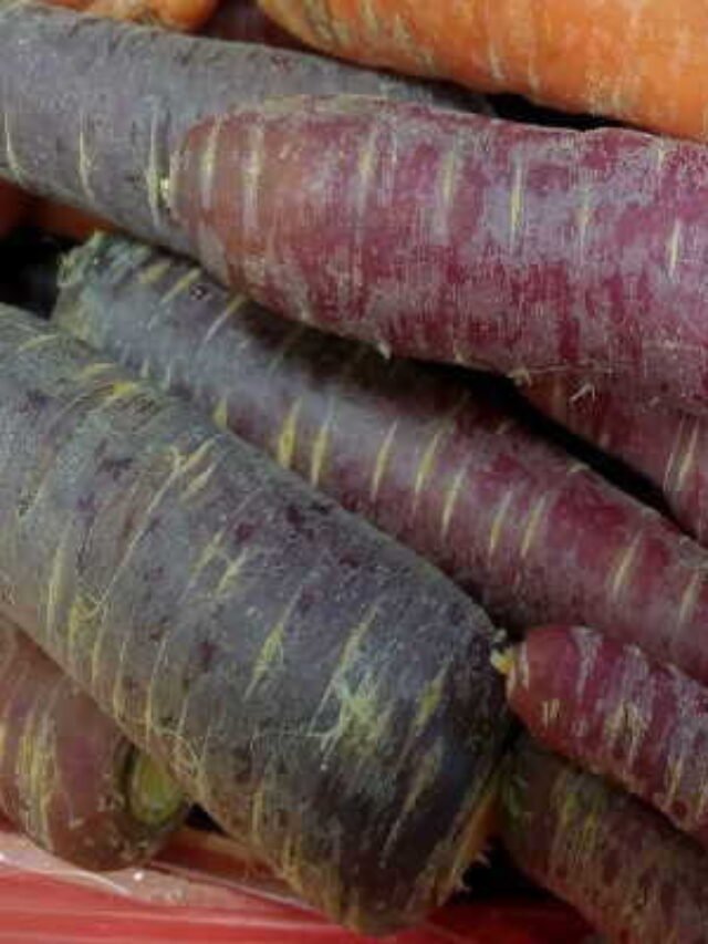 काली गाजर खाने के 5 चमत्कारी फायदे