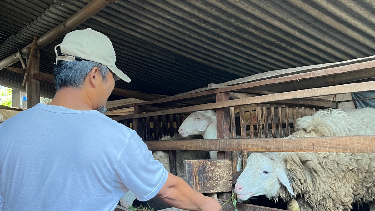 कर्मचारी ने वेलनेस अलाउंस से चिड़ियाघर में बकरियों को खिलाया खाना, बॉस बोले – “Best use of budget ever!”