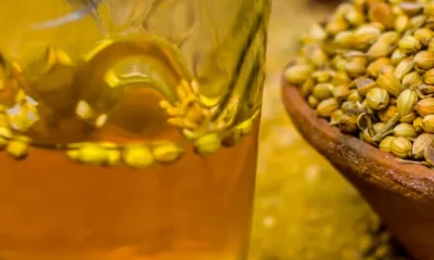 540srcso_coriander-water_625x300_22_August_24