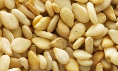 Sesame-Seeds-Health-Benefits-Tips-and-Recipes