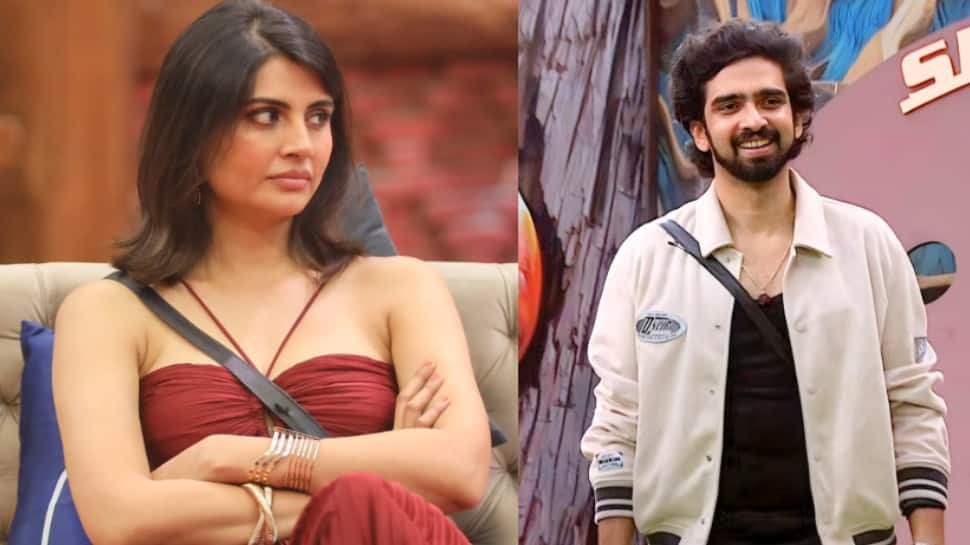 Bigg Boss 19: Malti Chahar–Shehbaz Badesha का बड़ा झगड़ा, Amaal Mallik का नाम भी घसीटा—कैरेक्टर असैसिनेशन विवाद | Dainik Diary