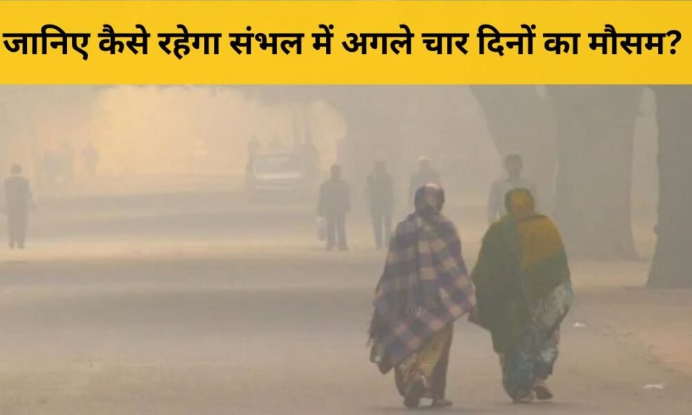 संभल मौसम पूर्वानुमान 11-14 नवंबर: दिन धूप, रात ठंड | Dainik Diary