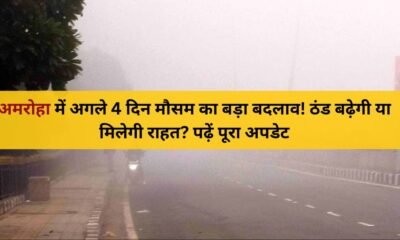 Amroha Weather Forecast: 8–11 December | कोहरा और बढ़ती ठंड का अलर्ट