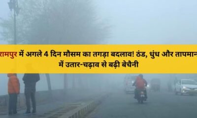 ठंड और कोहरे के बीच रामपुर शहर की सर्द सुबह का दृश्य