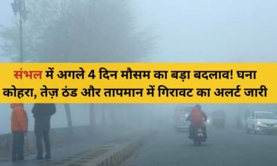 ठंड और कोहरे के बीच संभल शहर की सर्द सुबह का नज़ारा