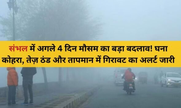 ठंड और कोहरे के बीच संभल शहर की सर्द सुबह का नज़ारा