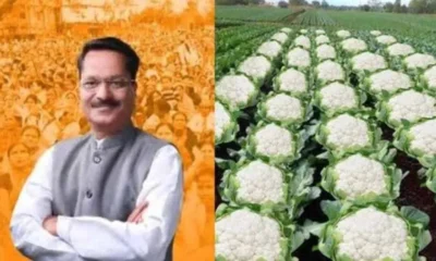 असम मंत्री के ‘ग़ोभी फार्मिंग’ पोस्ट पर बड़ा विवाद, बिहार चुनाव के बीच क्यों भड़की राजनीतिक बहस? | Dainik Diary