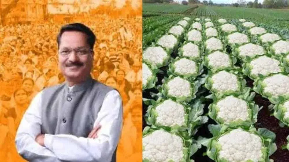 असम मंत्री के ‘ग़ोभी फार्मिंग’ पोस्ट पर बड़ा विवाद, बिहार चुनाव के बीच क्यों भड़की राजनीतिक बहस? | Dainik Diary