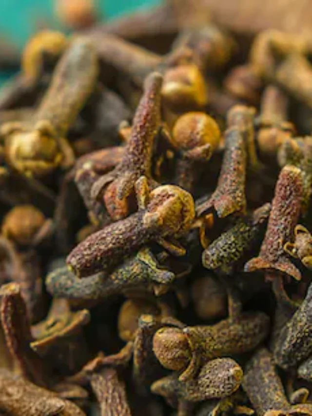 सर्दियों में रोज़ाना एक लौंग खाएं और देखें कमाल