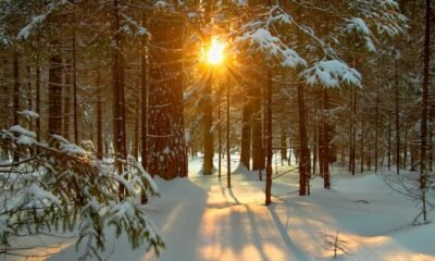 Amroha मौसम पूर्वानुमान (6-9 नवंबर): धुंध, ठंड और कम हवा से बढ़ेगा प्रदूषण